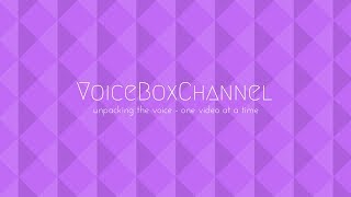 Voice Box Channel Introduction