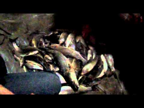 рыбалка на реках хабаровского края 2015 видео рыбалка на реках хабаровского края 2015 видео