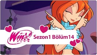 Winx Club - Sezon 1 Bölüm 14 - Bloom Gerçekte Kim?