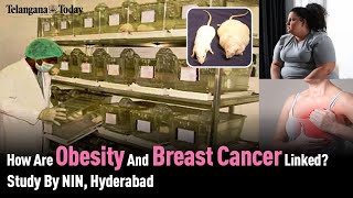 Obesity Develops Breast Cancer Study By National Insute Of Nutrition, Hyderabadtelangana Today