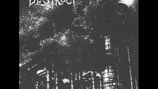Destruct - Echoes Of Life Lp 2020