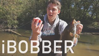 Finding Creek Spotted and Smallmouth Bass -- ft. iBobber