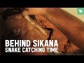 Behind Sikana: Making of - How to catch a cobra in Tamil Nadu