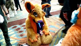 Blfc 2021 Final Video