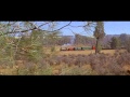 Ranker Video
