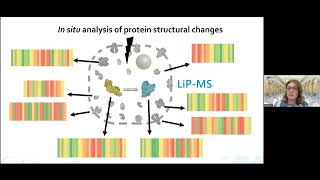 MQSS 2022 | Proteomes in 3D | Paola Picotti (Plenary speaker)