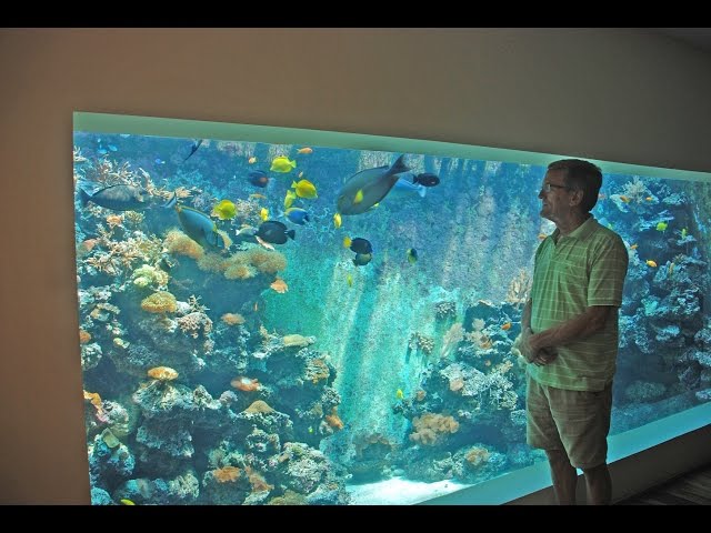 Guy Builds Huge 30,000 Liter Aquarium In His Living Room - Video