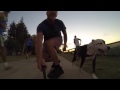 POOCH POWERED SKATEBOARDING