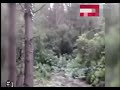 Is Bigfoot in Britain? Mysterious figure lurking in Lincolnshire woods COULD be mystery beast