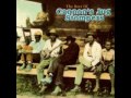 Cannon's Jug Stompers - Viola Lee Blues- 1928