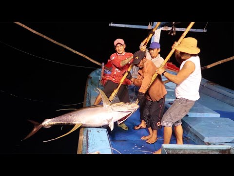 Câu Cá Ngừ Đại Dương. P1 | Fishing for tuna