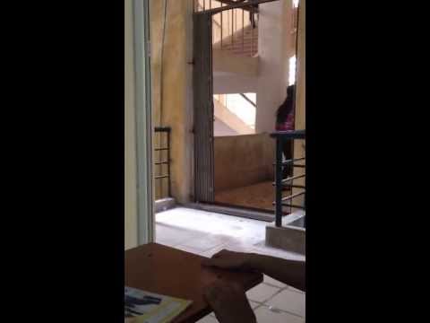 video treu gai cua thanh nien uneti
