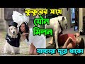 কুকুরের সাথে তরুণীর প্রেম,অতপর বিয়ে ! বিয়ের রাতে কুকুরটি ঝাপিয়ে পড়ল তারপর..! De Facto Bangla