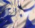 goku vs vegeta by plecio