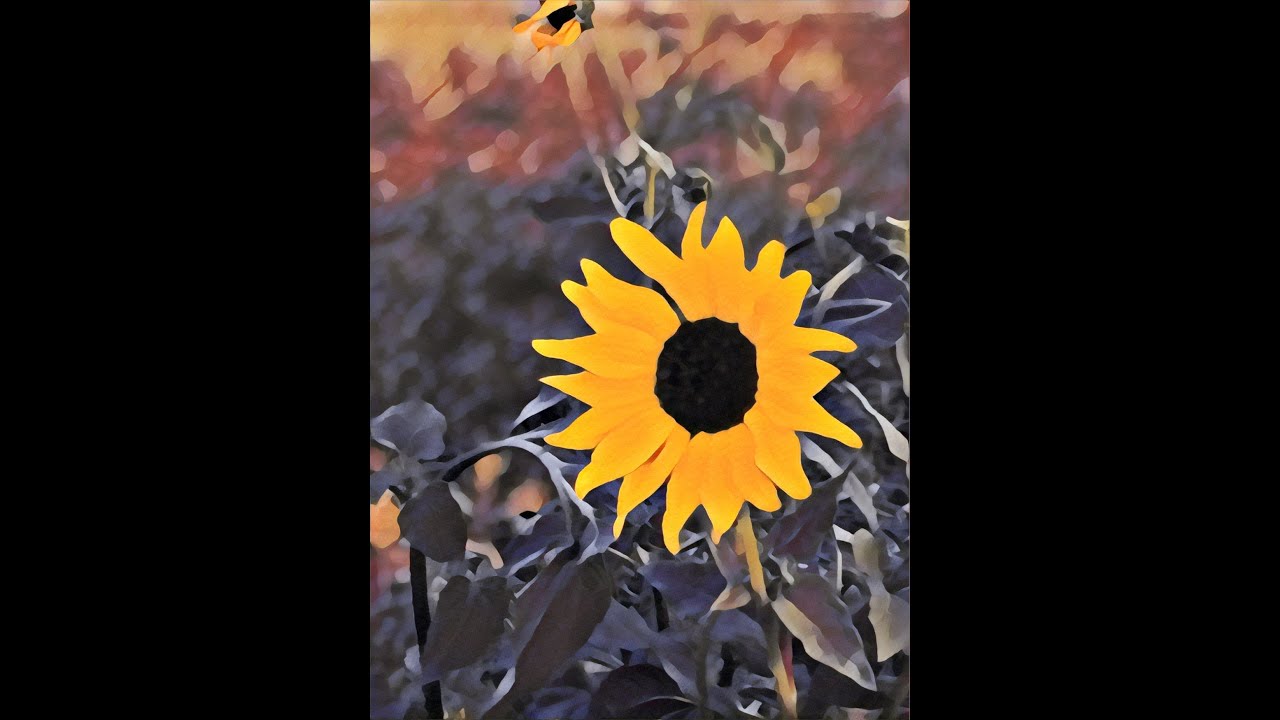 Mazurka en Sol - Francisco Tárrega