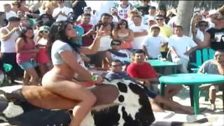 toro mecanico