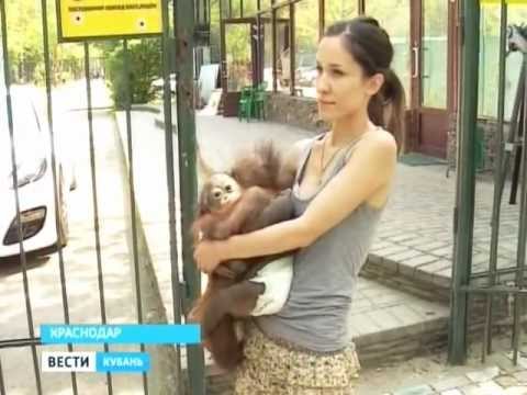 Конкурс кем я хочу жить Конкурс кем я хочу жить