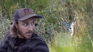 Massive 6 Points are COOL! | Texas Deer Hunting (AGGRESSIVE Calling?)