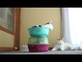 かご猫 x かごとねこ　Cat basket　2014#14