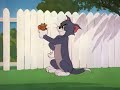 Tom si jerry - youtube
