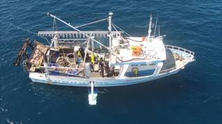 The Australian Seafood Show Season Two