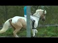 riding