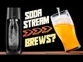 Can a Soda Stream Carbonate Homebrew? (& TMCraft Keg Test)