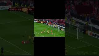 Fenerbahçe Uefa Avrupa Ligi 2013