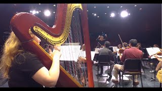 Silicon Valley Arts Coalition