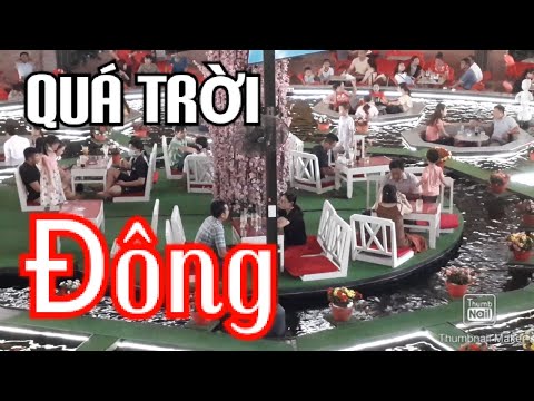 Quán Cà Phê Cá Koi Đẹp Nhất Cà Mau - Cafe Koi 3 - Linh 136 Vlogs