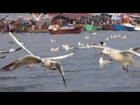 sangam magh mela allahabad 30 01 2014