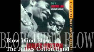 Watch James Cotton Blow Wind Blow video