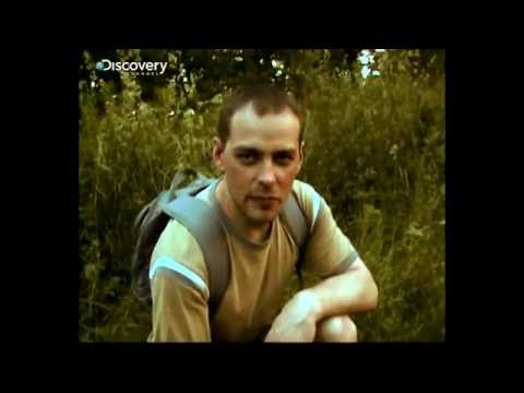 Born Survivor: Bear Grylls (parody)