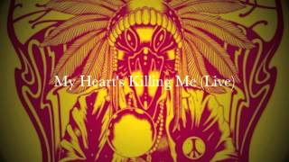 Watch Black Crowes My Hearts Killing Me video