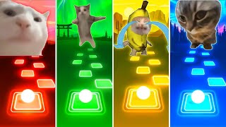 Vibing Cat vs Happy Cat vs Banana Cat vs Chipi Chipi Chapa Chapa Cat - Tiles Hop EDM Rush