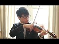 Violin