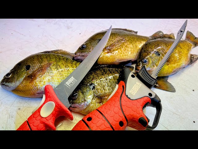 Watch 3 Ways to Fillet a Bluegill That Every Panfish Angler Should Know! on YouTube.