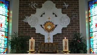 Saturday 6th June - Exposition: The Dead & Anniversaries of the Deceased followed by Mass
