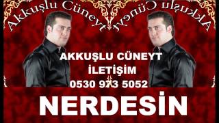 Akkuşlu Cüneyt Nerdesi̇n