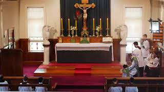 SSPXNZLIVE - Fifteenth Sunday after Pentecost Sung Mass - 13 September 2020