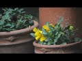 Canon 600D / T3i - Ensinor 500mm f/8 - Mirror Lens Video Test - T-Mount to EOS - HD