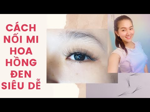 HƯỚNG DẪN NỐI MI HOA HỒNG ĐEN CỰC DỄ BẰNG MI FAN SẴN (FULL)