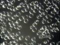 Essential Oil Dangers | RM. Essential Oil Dangers | RM.