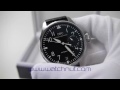 IWC Reviews