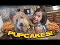 HOW TO MAKE PUPCAKES!!! Cooking With Jillian