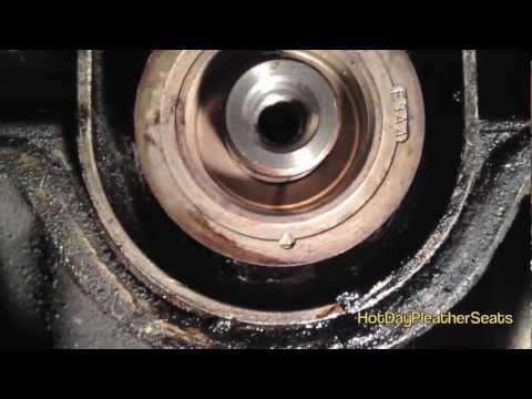 2000 Ford focus belt squeal #1