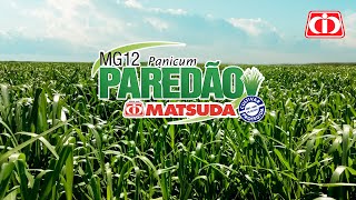 Principais Características Da Mg12 Paredão