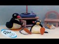 Best Episodes from Season 1 | Pingu - Official Channel | Cartoons For Kids