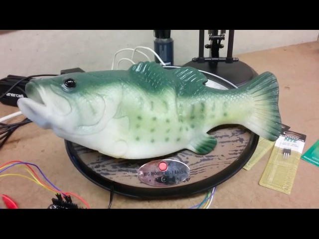 Man Hacks Alexa Into Singing Fish Robot -