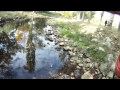 Video Part of Trials in Simferopol. River - POV